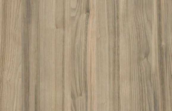Padrão Catedral